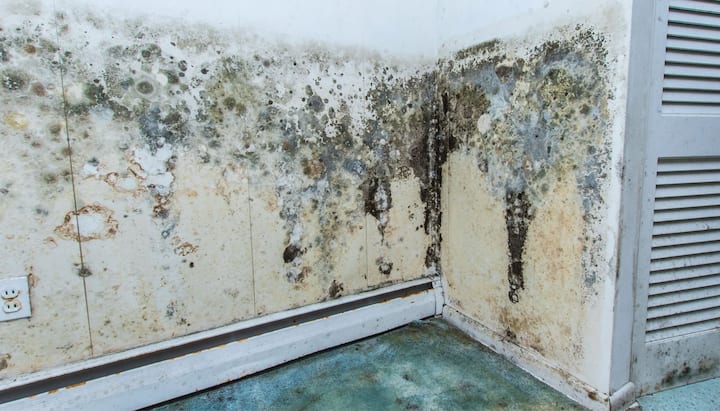 Professional mold removal, odor control, and water damage restoration service in Long Beach, California.