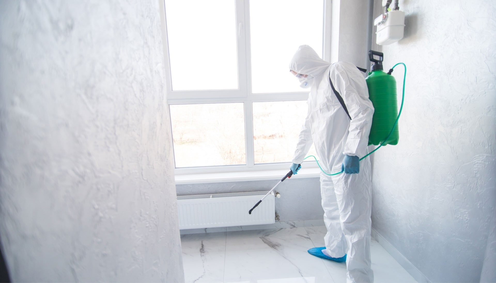 We provide the highest-quality mold inspection, testing, and removal services in the Long Beach, California area.